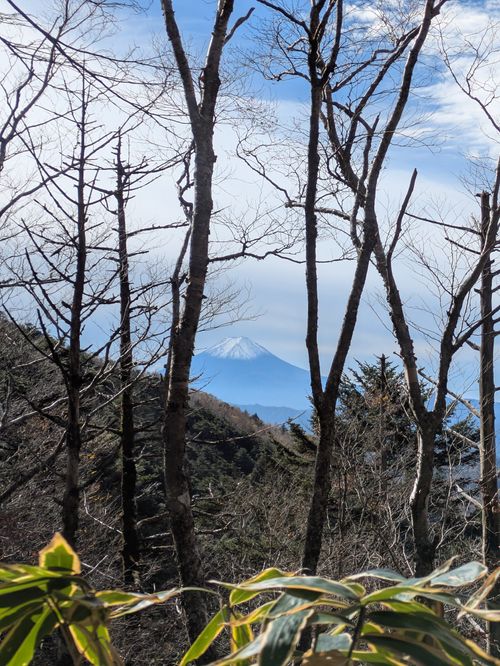 大菩薩嶺登山〜キャンプしてないけど😆 大菩薩嶺 グループキャンプ フリーサイト hachi329さんのキャンプブログ CAMPiii（キャンピー） -キャンプ専用SNS キャンプのすべてがここに集まる-