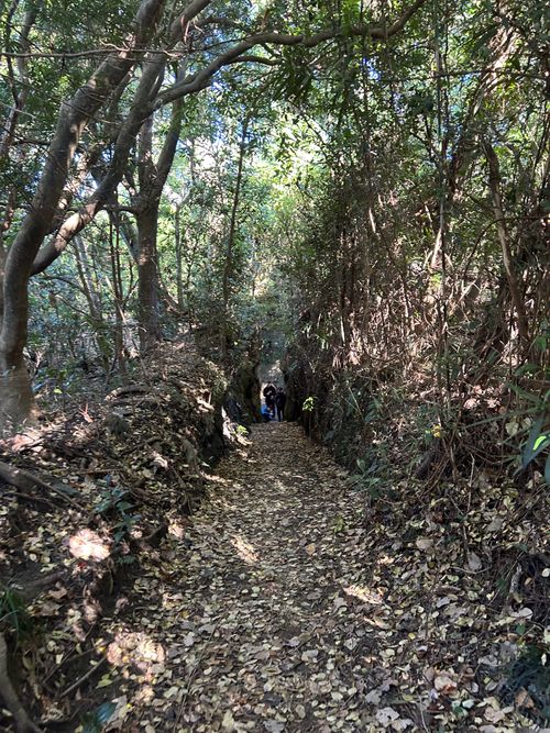 バックパックに憧れて、ついに決行 トウシキキャンプ場(野営場)無料 ソロキャンプ グループキャンプ フリーサイト Genさんのキャンプブログ CAMPiii（キャンピー） -キャンプ専用SNS キャンプのすべてがここに集まる-