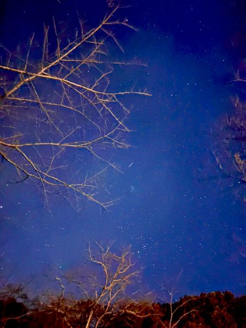 オプチャ女子グルキャンプ🏕下道倶楽部6時間越え。静岡ってでっかいなぁ！ 火剣山キャンプ場 グループキャンプ 区画サイト ぷりんさんのキャンプブログ CAMPiii（キャンピー） -キャンプ専用SNS キャンプのすべてがここに集まる-