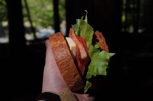 久しぶりのwoodsman WOODSMAN CAMPGROUND ソロキャンプ フリーサイト 週末スナフキンさんのキャンプブログ CAMPiii（キャンピー） -キャンプ専用SNS キャンプのすべてがここに集まる-