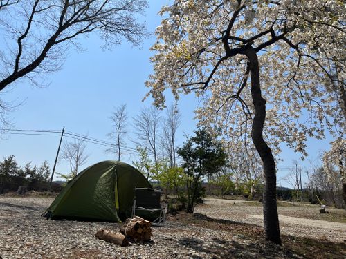CAMPiii(キャンピー) クロコダイルさんのキャンプブログ 花見、解放。 たかはら星の森キャンプ場