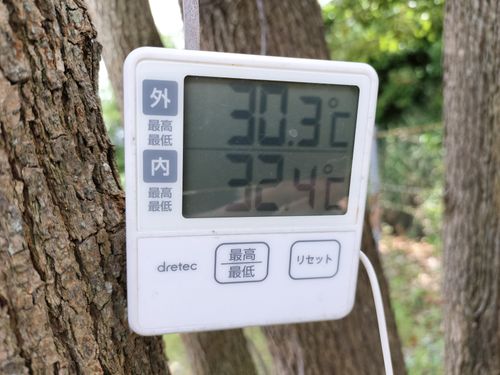 また釣りキャン 浜オートキャンプ場 ソロキャンプ 区画サイト たかたかぽんたさんのキャンプブログ CAMPiii（キャンピー） -キャンプ専用SNS キャンプのすべてがここに集まる-
