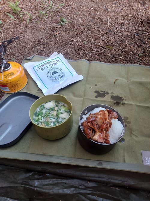 CAMPiii（キャンピー） ひろ16さんのキャンプブログ 東京行って帰りは電車と徒歩でてくてく👣キャンプ⛺ さいたま桃月園キャンプ場