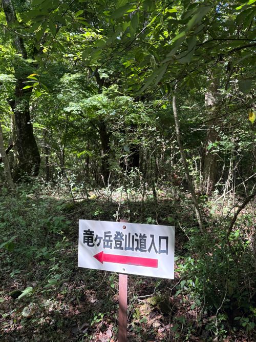 全力中年の夏休み✨は山にsupに盛りだくさん٩(ˊᗜˋ*)و♪ 本栖湖いこいの森キャンプ場 グループキャンプ 区画サイト ぷりんさんのキャンプブログ CAMPiii(キャンピー) -キャンプ専用SNS キャンプのすべてがここに集まる-