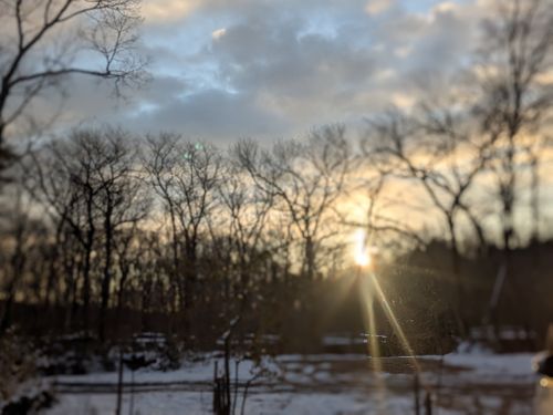 ウインタータイムレンダ トレイルビレッジ那須 ソロキャンプ 区画サイト GSUS（ゲスース）さんのキャンプブログ CAMPiii（キャンピー） -キャンプ専用SNS キャンプのすべてがここに集まる-