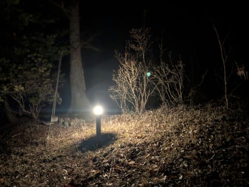 静寂な森のなかで(前篇) 小田急山中湖フォレストコテージ ファミリーキャンプ 好々爺🇯🇵さんのキャンプブログ CAMPiii（キャンピー） -キャンプ専用SNS キャンプのすべてがここに集まる-