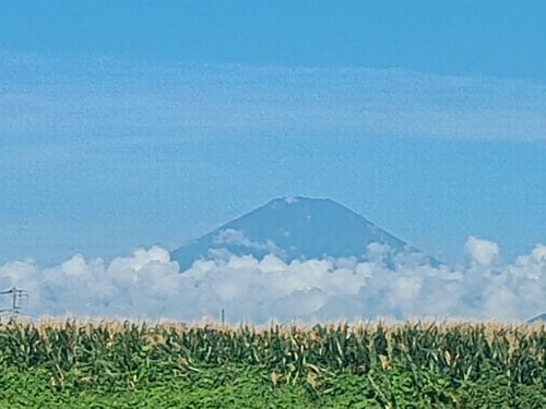 夜勤明け⇛石川県⇛神奈川県に即戻って野るの巻 角田大橋 ソロキャンプ フリーサイト ウエィダーさんのキャンプブログ CAMPiii（キャンピー） -キャンプ専用SNS キャンプのすべてがここに集まる-