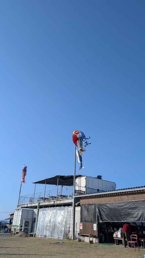 ひな祭り(だったね)🎎WBC応援キャンプ⚾️ たまなフラワーパーク ソロキャンプ ファミリーキャンプ グループキャンプ 区画サイト ヒゲキャンさんのキャンプブログ CAMPiii（キャンピー） -キャンプ専用SNS キャンプのすべてがここに集まる-