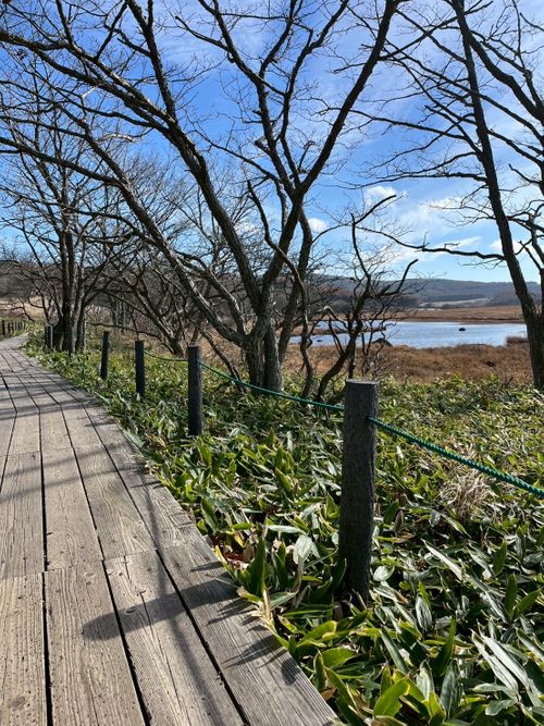 標高1500m天空のキャンプ場✩.*˚からの思い出の霧ヶ峰でフラット登山🚶🏽‍♂️🚶‍♀️ CAMP SKY FIELD-車山オートキャンプ場 区画サイト Jimko☆さんのキャンプブログ CAMPiii（キャンピー） -キャンプ専用SNS キャンプのすべてがここに集まる-
