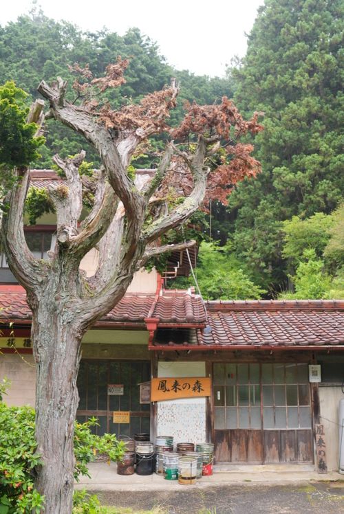 全国旅キャンプ第15弾は愛知編 ENJOY THE OUTDOORSさんのキャンプブログ CAMPiii（キャンピー） -キャンプ専用SNS キャンプのすべてがここに集まる-
