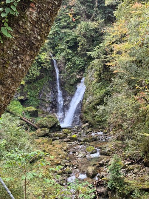 虹🌈キャンプ 南光自然観察村 ファミリーキャンプ 区画サイト yoji@campさんのキャンプブログ CAMPiii（キャンピー） -キャンプ専用SNS キャンプのすべてがここに集まる-