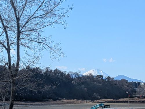 色々とありましたが&hellip;ただいまです( ^^)b 郷土の森公園バーベキュー場 ファミリーキャンプ フリーサイト 好々爺🇯🇵さんのキャンプブログ CAMPiii（キャンピー） -キャンプ専用SNS キャンプのすべてがここに集まる-
