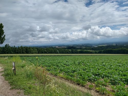 北海道の旨い!を食べるC△mp旅’ 2025(1 of 4) 北海道 ファミリーキャンプ キャンピングカー vios outdoor'sさんのキャンプブログ CAMPiii(キャンピー) -キャンプ専用SNS キャンプのすべてがここに集まる-