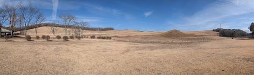 しかのこかのつのだいらんらん🫎 鹿角平観光牧場キャンプ場 グループキャンプ フリーサイト GSUS（ゲスース）さんのキャンプブログ CAMPiii（キャンピー） -キャンプ専用SNS キャンプのすべてがここに集まる-