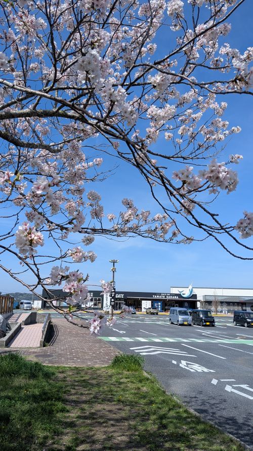 キャンプ再開して、同じとこへ　No.45 South One Village 館山 グループキャンプ ソロキャンプ 区画サイト すーつさんのキャンプブログ CAMPiii（キャンピー） -キャンプ専用SNS キャンプのすべてがここに集まる-
