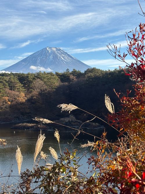 ミリキャ〜ン( ꕤ•̀  •́ゞ)ﾋﾞｼｯ!【中編】 富士本栖湖リゾート グループキャンプ フリーサイト Oniyomeさんのキャンプブログ CAMPiii（キャンピー） -キャンプ専用SNS キャンプのすべてがここに集まる-