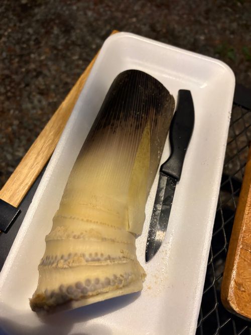 西富士オートキャンプ場 ～ビギナーズラックが続くはずもなく～ ACN 西富士オートキャンプ場 ソロキャンプ 区画サイト オートサイト ぺちゃさんのキャンプブログ CAMPiii（キャンピー） -キャンプ専用SNS キャンプのすべてがここに集まる-