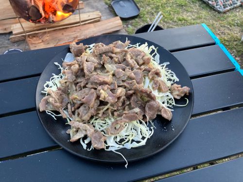 お台場海浜・・庭園？？ お台場 海浜庭園 グループキャンプ フリーサイト FUNEさんのキャンプブログ CAMPiii（キャンピー） -キャンプ専用SNS キャンプのすべてがここに集まる-