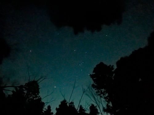 年末キャンプ🏕️ 大阪府 ソロキャンプ フリーサイト ぞのさんさんのキャンプブログ CAMPiii（キャンピー） -キャンプ専用SNS キャンプのすべてがここに集まる-