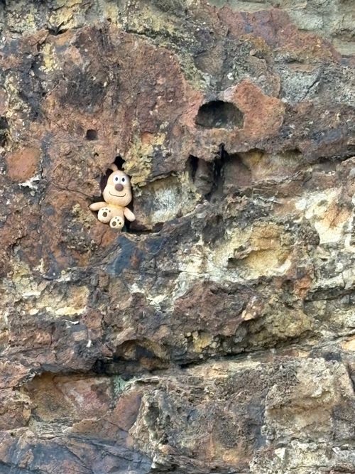 第92話　出雲は美味しい街だった！ 平田森林公園キャンプ場 ソロキャンプ フリーサイト ちろ犬さんのキャンプブログ CAMPiii（キャンピー） -キャンプ専用SNS キャンプのすべてがここに集まる-