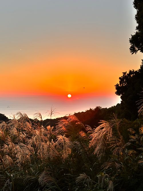 有田ブルーにいらっしゃい。 有田BLUEキャンプ場 グループキャンプ フリーサイト オートサイト あやぴーさんのキャンプブログ CAMPiii（キャンピー） -キャンプ専用SNS キャンプのすべてがここに集まる-