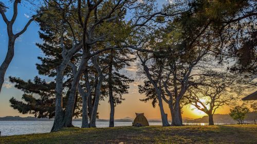 筑波山と夕日 親沢公園キャンプ場 ソロキャンプ フリーサイト アークさんのキャンプブログ CAMPiii（キャンピー） -キャンプ専用SNS キャンプのすべてがここに集まる-