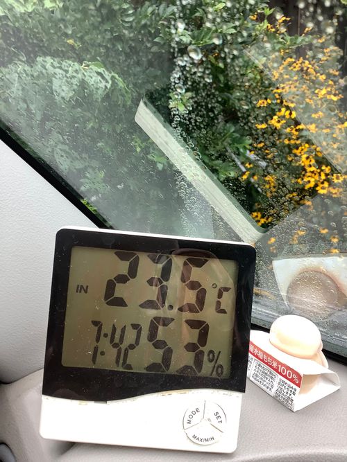 Vol.101 25/NO.20 雨の中☔ 坂戸市 ソロキャンプ フリーサイト 🔥焚き火🔥さんのキャンプブログ CAMPiii（キャンピー） -キャンプ専用SNS キャンプのすべてがここに集まる-