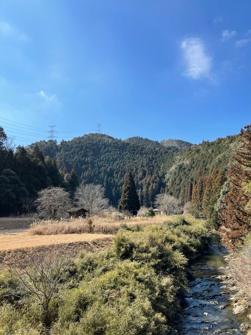 CAMPiii（キャンピー） BWK＿campさんのキャンプブログ 富川エスパーク 大石富川町