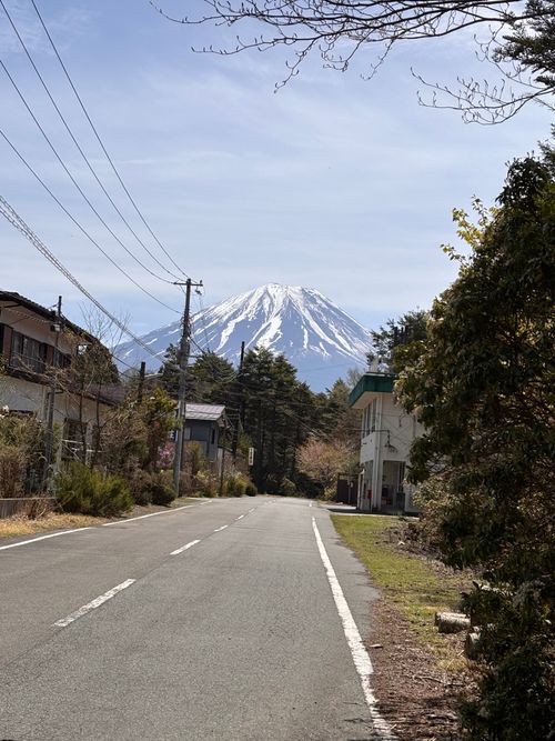 キャンプ解禁🎉＆乾杯🍻青木ヶ原樹海を歩く!? 「フラット登山」第2弾 DOTEKAGE CAMP GROUND 区画サイト Jimko☆さんのキャンプブログ CAMPiii（キャンピー） -キャンプ専用SNS キャンプのすべてがここに集まる-