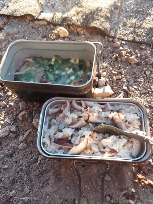 いきなり電車乗り遅れ💦 One and…Nanmoku Another BASE ソロキャンプ 区画サイト ひろ16さんのキャンプブログ CAMPiii（キャンピー） -キャンプ専用SNS キャンプのすべてがここに集まる-