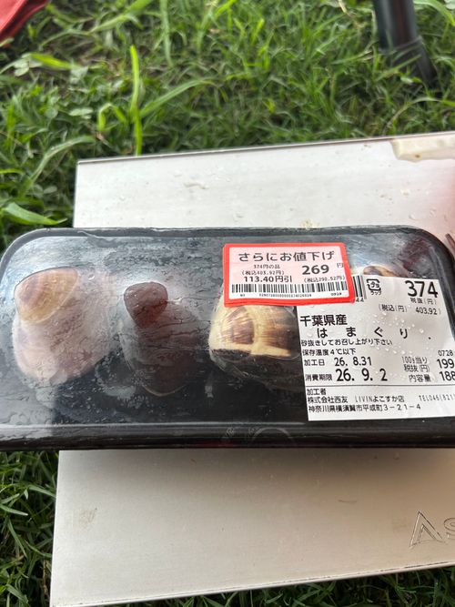 代休取らなきゃ行けないし、DDタープ乾かさなきゃ行けないし、やむなくDAYキャン繰り出した😆 うみかぜ公園 ソロキャンプ フリーサイト Genさんのキャンプブログ CAMPiii（キャンピー） -キャンプ専用SNS キャンプのすべてがここに集まる-