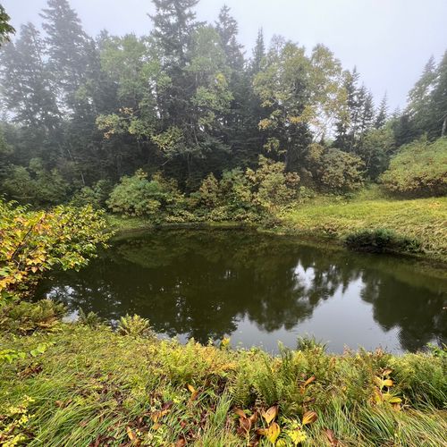 I miss HOTAKA⛰️ 徳沢キャンプ場 ソロキャンプ フリーサイト shuさんのキャンプブログ CAMPiii(キャンピー) -キャンプ専用SNS キャンプのすべてがここに集まる-