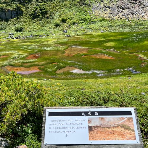 viva立山‼️ 雷鳥沢キャンプ場へ編 雷鳥沢キャンプ場 ソロキャンプ フリーサイト shuさんのキャンプブログ CAMPiii(キャンピー) -キャンプ専用SNS キャンプのすべてがここに集まる-