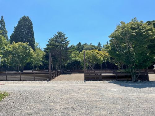 激暑！ソロキャンプ⛺️ キャンプガーデン印西 ソロキャンプ オートサイト Kojiさんのキャンプブログ CAMPiii（キャンピー） -キャンプ専用SNS キャンプのすべてがここに集まる-