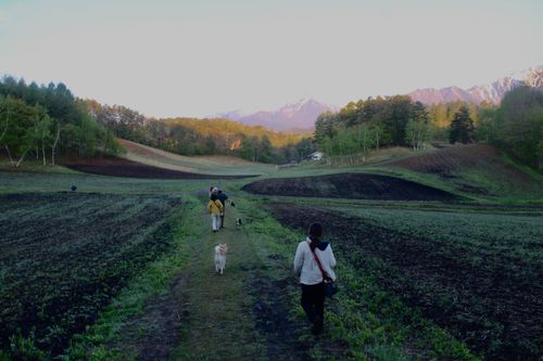 GWキャンプ晴天に恵まれた🙌 中山高原キャンプ場 グループキャンプ フリーサイト OYAKATAさんのキャンプブログ CAMPiii（キャンピー） -キャンプ専用SNS キャンプのすべてがここに集まる-