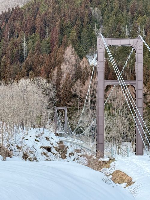 雪中キャンのおすすめ さくら街道みぼろ湖畔オートキャンプサイト ソロキャンプ 区画サイト シルバーズさんのキャンプブログ CAMPiii（キャンピー） -キャンプ専用SNS キャンプのすべてがここに集まる-