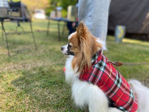 もう初夏の暑さ🥵だった､､､春おじキャン🏕️ 美鈴湖もりの国 オートキャンプ場 グループキャンプ ケイスケさんのキャンプブログ CAMPiii（キャンピー） -キャンプ専用SNS キャンプのすべてがここに集まる-