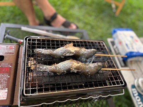 僕らの夏休み2025, 五光牧場オートキャンプ場 ファミリーキャンプ フリーサイト すなさんのキャンプブログ CAMPiii（キャンピー） -キャンプ専用SNS キャンプのすべてがここに集まる-