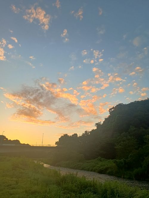 夜勤明け⇛石川県⇛神奈川県に即戻って野るの巻 角田大橋 ソロキャンプ フリーサイト ウエィダーさんのキャンプブログ CAMPiii（キャンピー） -キャンプ専用SNS キャンプのすべてがここに集まる-