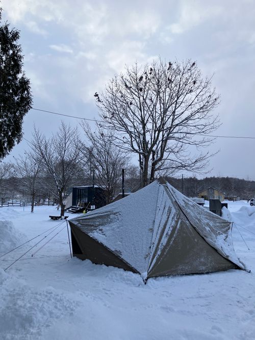 ファンガーデンリモ！ Fun Garden Rimo ソロキャンプ フリーサイト siroさんのキャンプブログ CAMPiii（キャンピー） -キャンプ専用SNS キャンプのすべてがここに集まる-