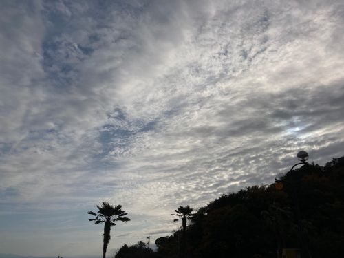 2泊キャンプ✨ 片添ケ浜オートキャンプ場 ファミリーキャンプ 区画サイト オートサイト masaさんのキャンプブログ CAMPiii（キャンピー） -キャンプ専用SNS キャンプのすべてがここに集まる-