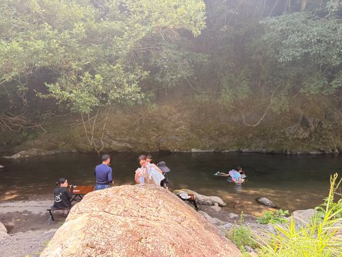 あー夏休みー🌻♬ 徳島県 グループキャンプ フリーサイト Camp 'n'g  Roll♪🏁さんのキャンプブログ CAMPiii（キャンピー） -キャンプ専用SNS キャンプのすべてがここに集まる-