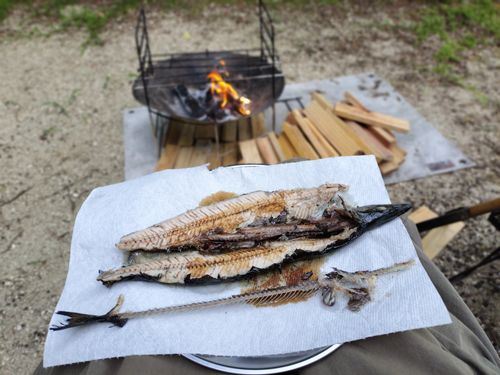 お医者様に外出はOKだと言われてたので 田立の滝オートキャンプ場 ソロキャンプ グループキャンプ 区画サイト オートサイト たかたかぽんたさんのキャンプブログ CAMPiii(キャンピー) -キャンプ専用SNS キャンプのすべてがここに集まる-