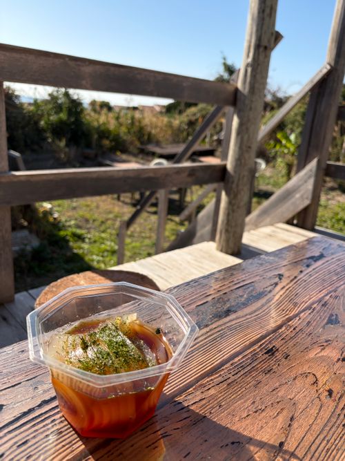 初の海キャン！江見吉浦！🌊 江見吉浦 海辺のキャンプ場 ソロキャンプ 区画サイト オートサイト ぺちゃさんのキャンプブログ CAMPiii（キャンピー） -キャンプ専用SNS キャンプのすべてがここに集まる-