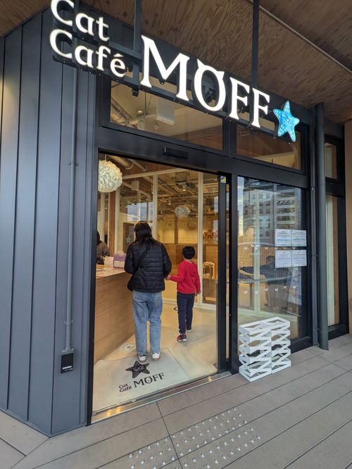 2025年締めキャンプ。ヤギと猫と魚と人生最高峰への決意。 ホシアカリ 波うち グループキャンプ 区画サイト NATSUさんのキャンプブログ CAMPiii（キャンピー） -キャンプ専用SNS キャンプのすべてがここに集まる-