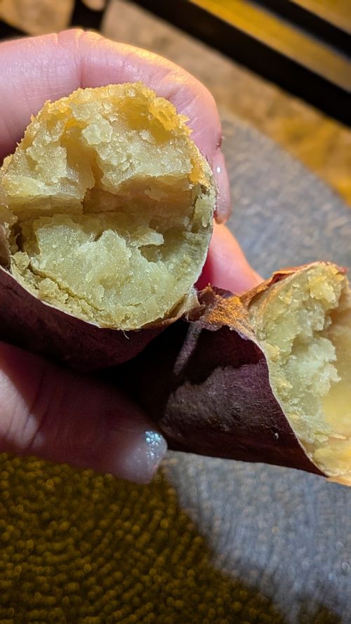 おひさしぶりです！No.44 South One Village 館山 ソロキャンプ 区画サイト すーつさんのキャンプブログ CAMPiii（キャンピー） -キャンプ専用SNS キャンプのすべてがここに集まる-