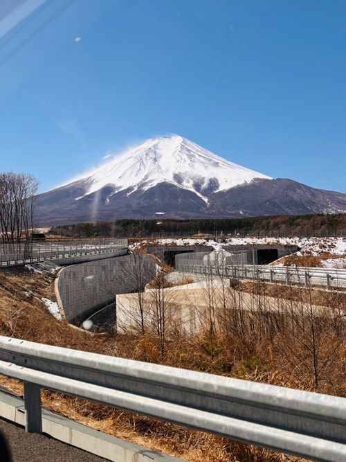 №74 オートキャンプFUJICHU ソロキャンプ 区画サイト 1711_Campさんのキャンプブログ CAMPiii（キャンピー） -キャンプ専用SNS キャンプのすべてがここに集まる-