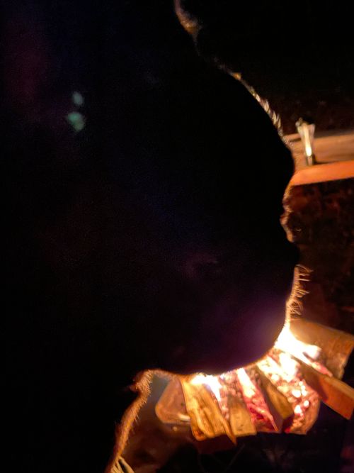 今シーズン最後のキャンプ エコキャンプみちのく ファミリーキャンプ 区画サイト ロコCamp0828さんのキャンプブログ CAMPiii（キャンピー） -キャンプ専用SNS キャンプのすべてがここに集まる-