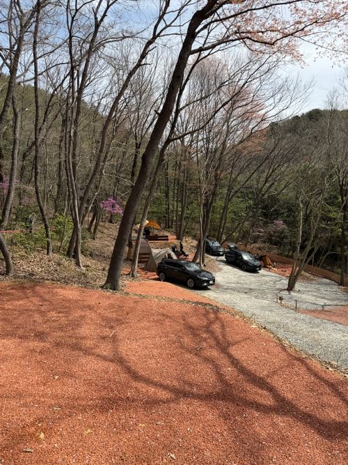 雨だ🌧キャンプに行こう🏕 やはずの森倶楽部 ファミリーキャンプ オートサイト ぐうたら夫婦さんのキャンプブログ CAMPiii（キャンピー） -キャンプ専用SNS キャンプのすべてがここに集まる-