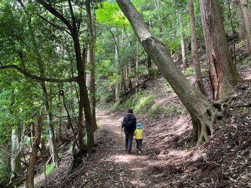 賤ヶ岳登山からの川遊びキャンプ 大見いこいの広場 ファミリーキャンプ オートサイト 区画サイト ヨスケサンバジャロさんのキャンプブログ CAMPiii（キャンピー） -キャンプ専用SNS キャンプのすべてがここに集まる-